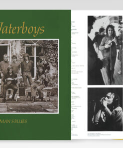 The Waterboys - Fisherman's Blues NAD 2024 coloured vinyl